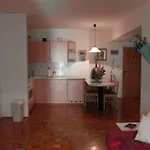 Spacious Balcony Apartment Piran